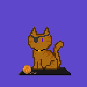 Cat 9916