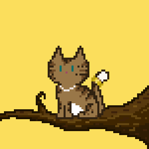 Cat 9977